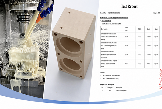 Food Grade PPS Machined Pump Parts – Precision CNC Manufacturing
